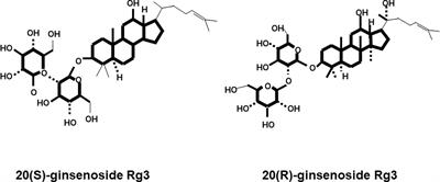 Relationship Between Ginsenoside Rg3 and Metabolic Syndrome